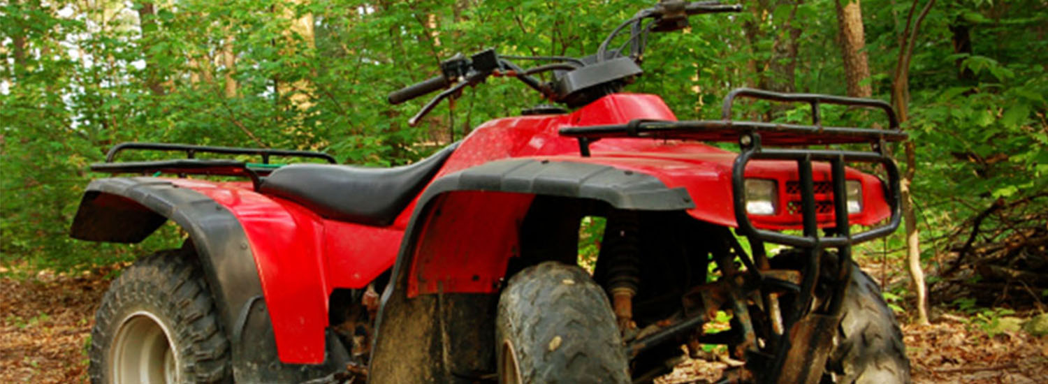 California Toy insurance coverage